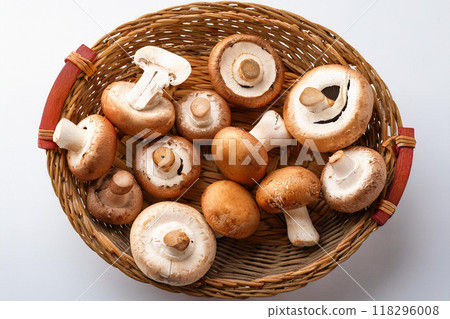Mushroom collection 118296008