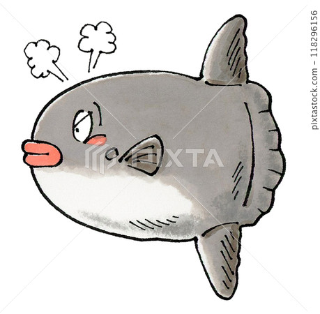 憤怒的翻車魚 118296156