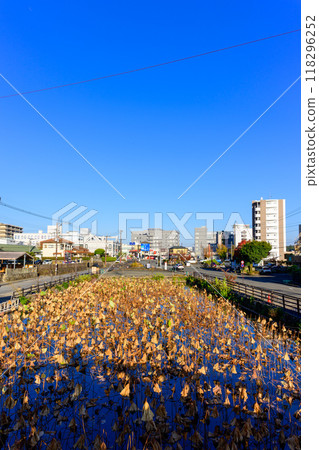 View of the city from Misogi Bridge, built in the Taisho era, Aoi Aso Shrine (national treasure), Hitoyoshi City View of the city from Misogi Bridge, built in the Taisho era, Aoi Aso Shrine (national treasure), Hitoyoshi City 118296252