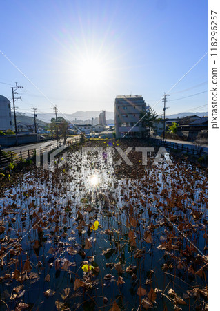 從大正時代建造的「禦曾木橋」看到的風景 葵阿蘇神社（國寶） 人吉市 118296257