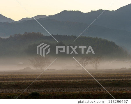 The rural landscape of Asuka Village shrouded in autumn mist The rural landscape of Asuka Village shrouded in autumn mist 118296467