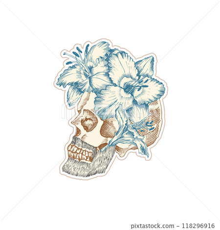 Vintage sticker human skull with wreath flowers lily. Art collage Zine Culture style. Hipster barber shop concept. Tattoo, t-shirt design Realistic hand drawn sketch. Skeleton head Vector illustration 118296916
