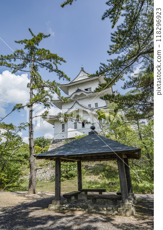 伊賀上野城（三重縣） 118296923