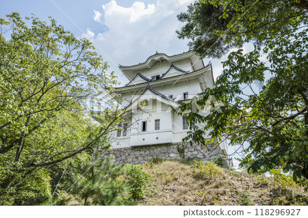 伊賀上野城(三重縣) 伊賀上野城(三重縣) 118296927