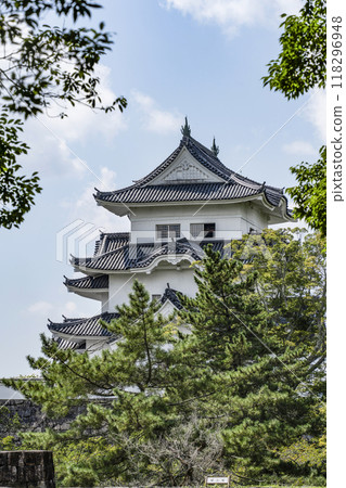伊賀上野城（三重縣） 118296948