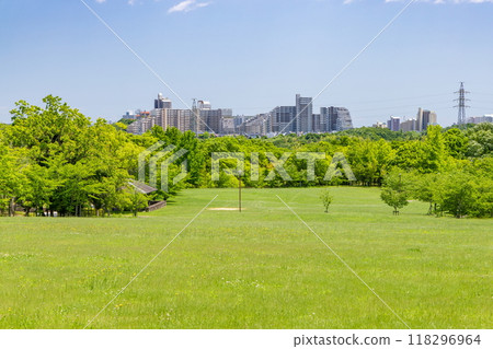 Fresh greenery in Seishin Central Park. In the foreground you can see the apartment complexes near Seishin Minami Station. In Nishi Ward, Kobe City. Fresh greenery in Seishin Central Park. In the foreground you can see the apartment complexes near Seishin Minami Station. In Nishi Ward, Kobe City. 118296964