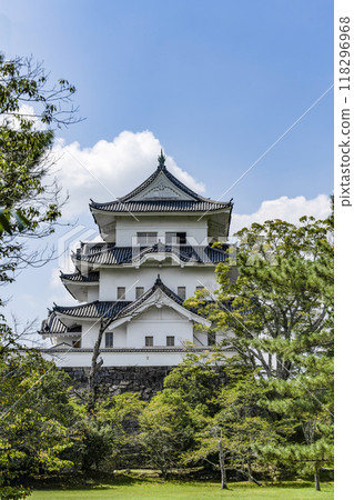 Iga Ueno Castle (Mie prefecture) 118296968