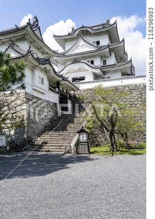 Iga Ueno Castle (Mie prefecture) 118296983