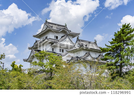 伊賀上野城（三重縣） 118296991