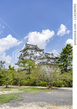 伊賀上野城（三重縣） 118296992