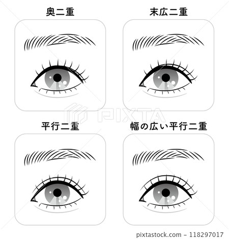 Types of double eyelids Types of double eyelids 118297017