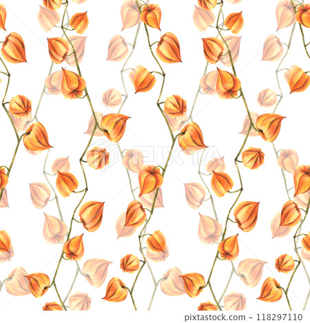 Autumn orange physalis berries on branches dry, without leaves dried flowers. Watercolor hand-drawn illustration. Seamless pattern on white background. 118297110