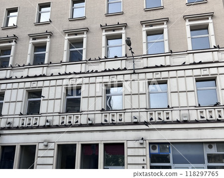 Many pigeons on building in Poland sunny day Many pigeons on building in Poland sunny day 118297765