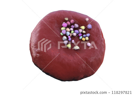 Erythrocytes with plastic microparticles, 3D illustration 118297821