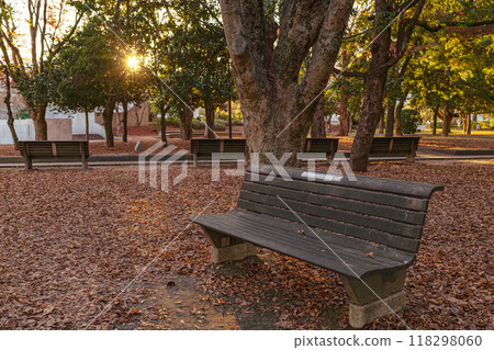 公園裡的長椅上有美麗的秋葉 118298060