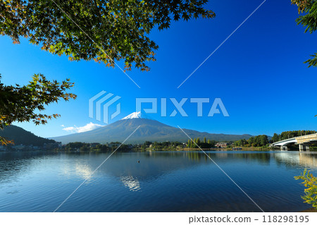 Beautiful autumn maple leaves and fresh snow on Mount Fuji, Kawaguchiko Town, Yamanashi Prefecture Beautiful autumn maple leaves and fresh snow on Mount Fuji, Kawaguchiko Town, Yamanashi Prefecture 118298195