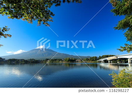 Beautiful autumn maple leaves and fresh snow on Mount Fuji, Kawaguchiko Town, Yamanashi Prefecture 118298227