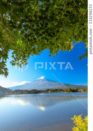 Beautiful autumn maple leaves and fresh snow on Mount Fuji, Kawaguchiko Town, Yamanashi Prefecture Beautiful autumn maple leaves and fresh snow on Mount Fuji, Kawaguchiko Town, Yamanashi Prefecture 118298233
