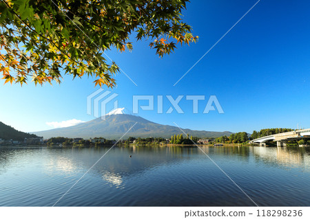 山梨縣河口湖鎮秋天的楓葉和新雪中的富士山 山梨縣河口湖鎮秋天的楓葉和新雪中的富士山 118298236