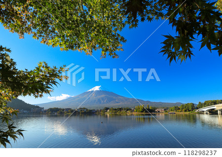 Beautiful autumn maple leaves and fresh snow on Mount Fuji, Kawaguchiko Town, Yamanashi Prefecture 118298237