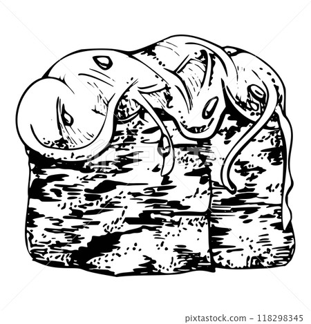 Traditional Japanese food, gunkan sushi seaweed nori wrap with wakame chuka salad, sesame chia seeds. Illustration hand drawn in vector pen, ink for restaurant, cafe menu, kitchen, cooking recipe book Traditional Japanese food, gunkan sushi seaweed nori wrap with wakame chuka salad, sesame chia seeds. Illustration hand drawn in vector pen, ink for restaurant, cafe menu, kitchen, cooking recipe book 118298345