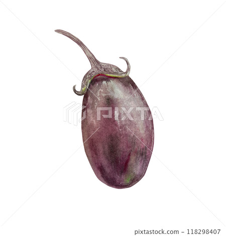 Eggplant watercolor. Hand drawn watercolor illustration of vegetables isolated on white. For cards, food labels, packages, banner for Harvest Day and Vegetarian Day. 118298407
