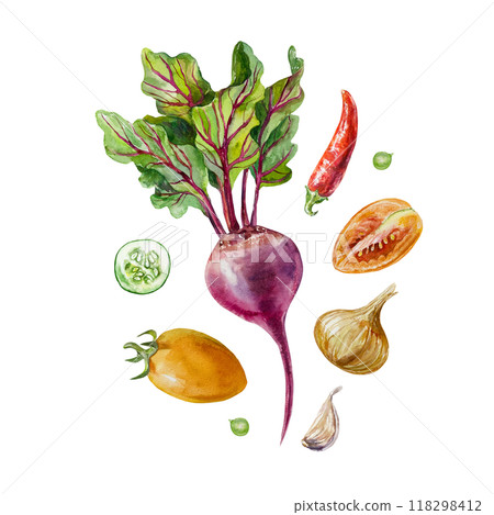 Vegetables set. Beetroot, tomatoes, peppers, onions, garlic. Hand drawn watercolor illustration. For postcards, labels, packaging, banner for Harvest Day and Vegetarian Day. 118298412