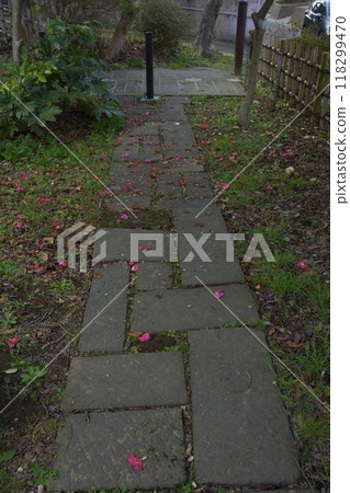 鎌倉市山崎台峰綠地、北大路魯山神星岡窯遺址 鎌倉市山崎台峰綠地、北大路魯山神星岡窯遺址 118299470