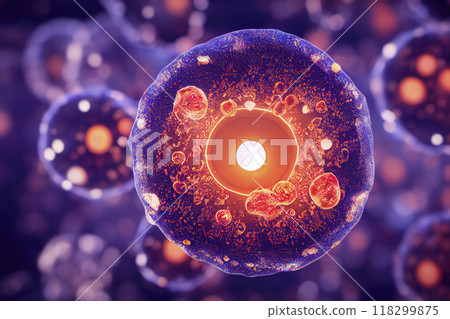 Human cells, illustration 118299875
