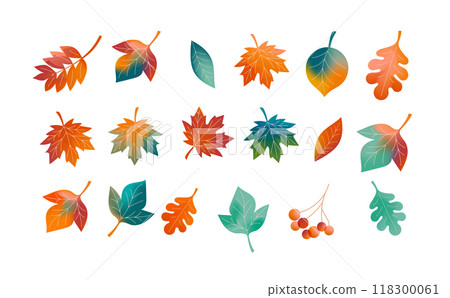 Autumn, Fall background, Autumn leaves elements. icons. Vector illustration, banners, cards 118300061