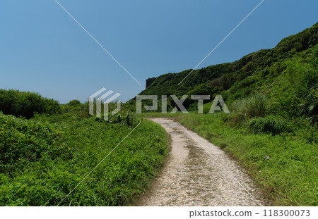 晴朗的天空和綠色的道路 晴朗的天空和綠色的道路 118300073
