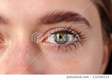 Close Up of a Young Woman With Long Eyelashes 118300314