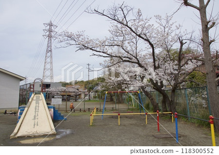Spring scenery of Imaizumi, Kamakura city - Cherry blossoms 118300552