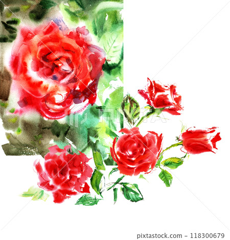 Red roses with green leaves in watercolor card. It is hand-drawn in bright juicy strokes of bright red, scarlet color. The rose petals are almost open, painted on postcard background. Elegant rosebuds Red roses with green leaves in watercolor card. It is hand-drawn in bright juicy strokes of bright red, scarlet color. The rose petals are almost open, painted on postcard background. Elegant rosebuds 118300679