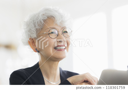 開會的高級婦女 開會的高級婦女 118301759