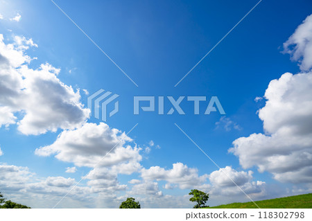 Summer blue sky and meadow Summer blue sky and meadow 118302798