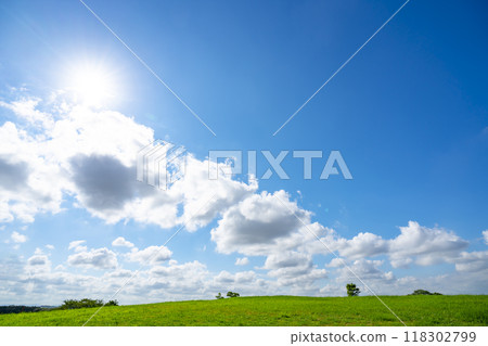 Summer blue sky, sun and grassland Summer blue sky, sun and grassland 118302799