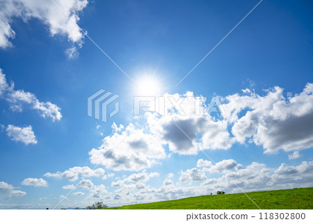 Summer blue sky and meadow Summer blue sky and meadow 118302800
