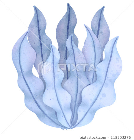 Watercolor sea plant 118303276
