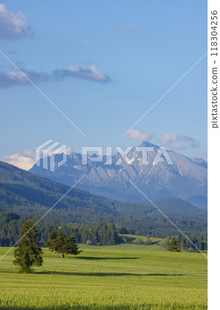 High Tatras with Krivan peak in spring time, Slovakia High Tatras with Krivan peak in spring time, Slovakia 118304256