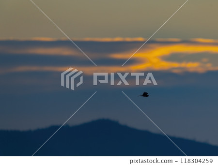 Western Tatras (Rohace) in spring time, Slovakia 118304259