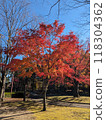 秋天風景秋葉 118304362