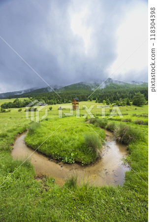 Spring of Hron, Horehronie, Low Tatras, Slovakia 118304398