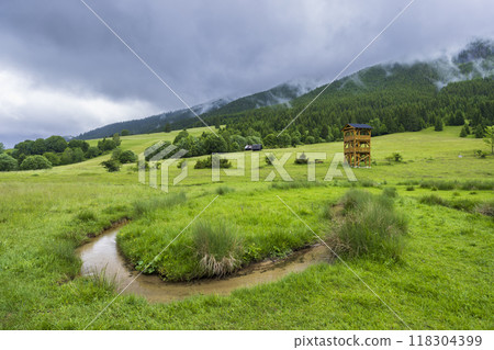 Spring of Hron, Horehronie, Low Tatras, Slovakia 118304399