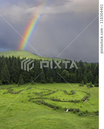 Spring of Hron, Horehronie, Low Tatras, Slovakia 118304401