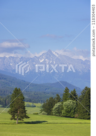 High Tatras with Krivan peak in spring time, Slovakia High Tatras with Krivan peak in spring time, Slovakia 118304403