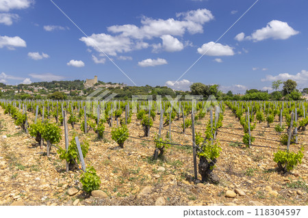 Typical vineyard with stones near Chateauneuf-du-Pape, Cotes du Rhone, France Typical vineyard with stones near Chateauneuf-du-Pape, Cotes du Rhone, France 118304597