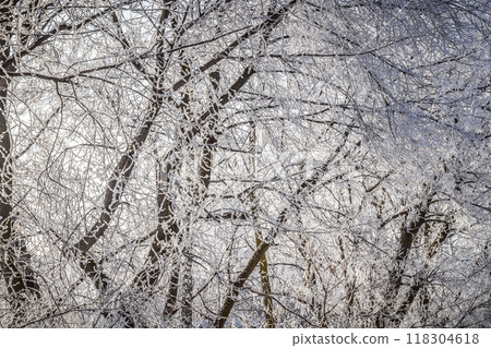Morning fresh frost Morning fresh frost 118304618