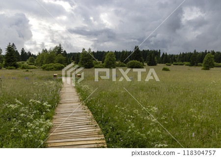 National natural monument Upolinova louka pod Krizky, Western Bohemia, Czech Republic 118304757