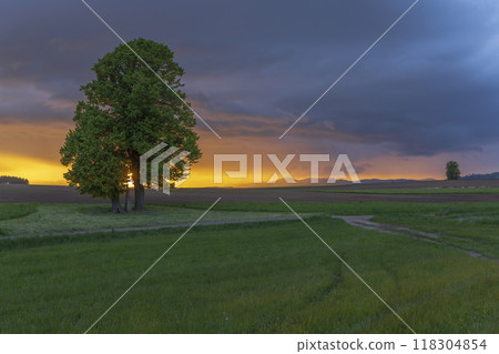 Broumov basin, Eastern Bohemia, Czech Republic Broumov basin, Eastern Bohemia, Czech Republic 118304854